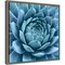 Silvery Blue Agave by Jan Bell 16-in. W x 16-in. H. Canvas Wall Art Print Framed in Grey